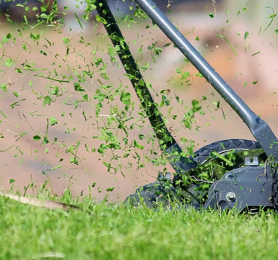 Lawn mower in action